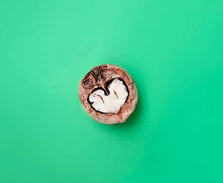 Mint green background with an open walnut close-up with a heart-shaped core. Copy spaceの写真素材