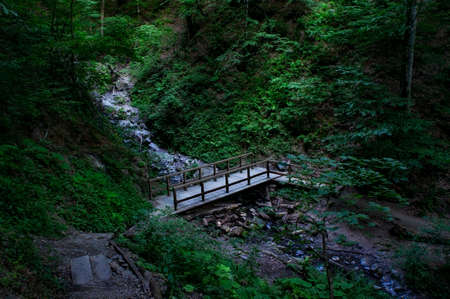Wooden footbridge in a dark green forest over a mountain river. Hiking trail in the mountainsの写真素材