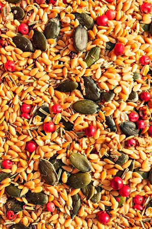 Food vertical background of mix of spices, condiments and seeds close-up, golden flax seeds, pumpkin seeds, red peppers and dried ginger, healthy food, abstract, copy space, mixture of various spicesの写真素材