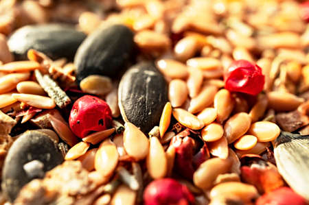 Food background of mix of spices, condiments and seeds close-up with selective focus, golden flax seeds, pumpkin seeds, red peppers, dried healthy food, abstract, copy space, mixture of various spicesの写真素材