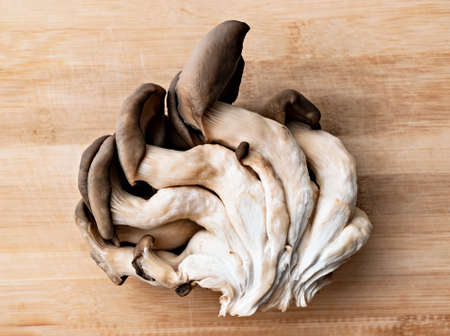 Fresh cut oyster mushrooms close-up on a light wooden background, healthy eating, vegan foodの写真素材