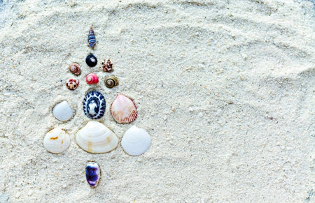 Christmas background with a Christmas tree made of seashells on a sandy background with copy space....