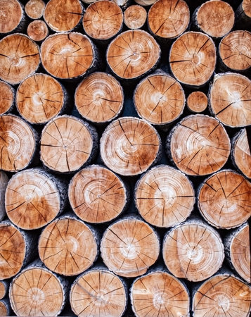 Natural wooden background from round saw cut trees, copy space, logs, abstract