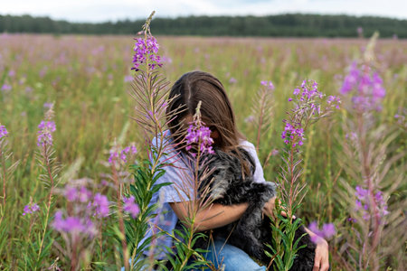 young woman holding gray fluffy senior dog in hands on meadow with flowers of fireweed, pet love and...