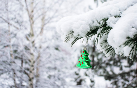 Christmas background with a green Christmas tree toy on a snow-covered pine branch with a copy...