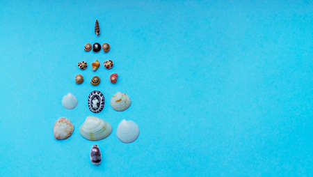 Christmas background with a Christmas tree made of seashells on a blue background with copy space. Tropical Christmas and New Year concept. Minimalistic, banner. Travel and vacation conceptの写真素材