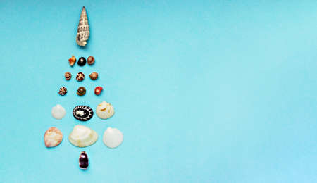 Christmas background with a Christmas tree made of seashells on a blue background with copy space. Tropical Christmas and New Year concept. Minimalistic, banner. Travel and vacation conceptの写真素材