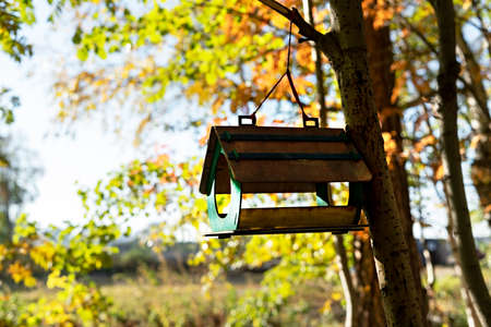 Wooden bird feeder hanging on tree branch in autumn forest, fall season help and caring for birdsの写真素材