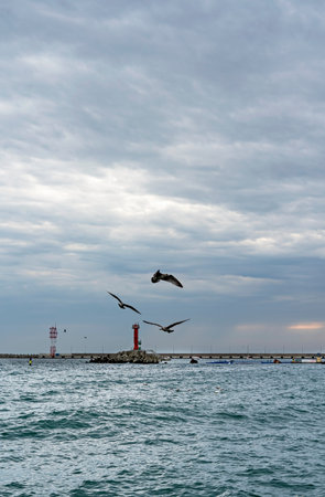 Seascape with seagulls circling over the sea, red lighthouse and cloudy rain sky, copy space natural...