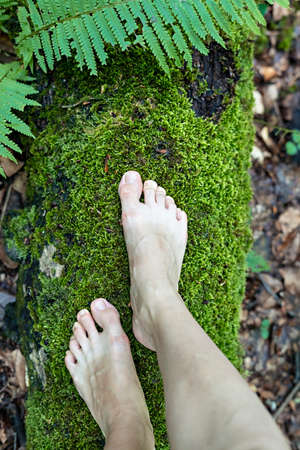 Female feet barefoot standing on mossy tree in forest, relaxation enjoying in nature , woman walking in summerの写真素材