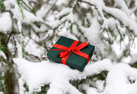 Gift in green box with red ribbon on snowy spruce tree in winter forest Christmas background and New Year holidays presentの写真素材