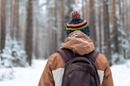 Rear view of young man in knitted hat with backpack walking in snowy forest in winter , snowing hiking , active lifestyleの写真素材
