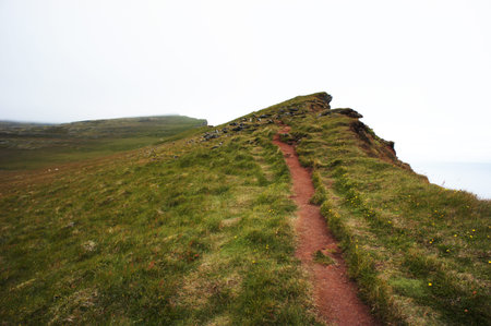 Scenic view of the bird cliffs of Iceland in yellow green grass and the North Atlantic Ocean beautiful landscape nature Latrabjarg selective focus soft focus defocusedの写真素材