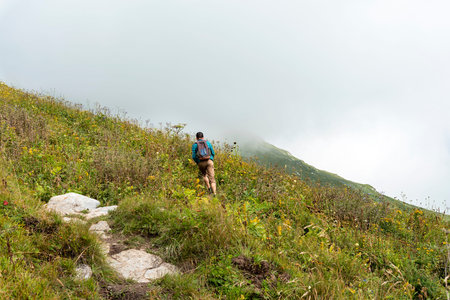 Rear view young man with a backpack walking uphill on a mountain path in fog among lush vegetation...