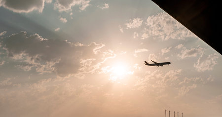 Airplane flying in the sky against the backdrop of beautiful pink sunset among the clouds natural...
