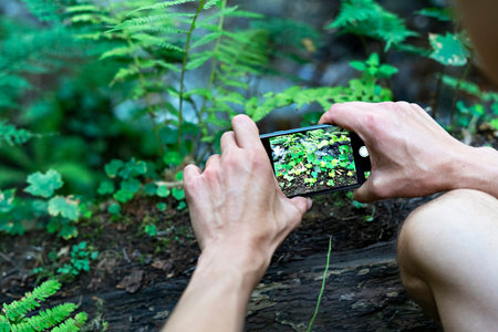 Close-up of smartphone screen displaying plants while being photographed in wild. Hands capturing...