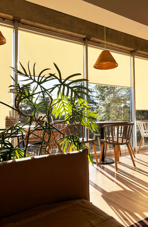Modern cafe interior showcases wooden tables and chairs, large windows with yellow shades, and vibrant green plants, inviting a warm and welcoming ambiance for visitorsの写真素材