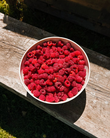 Bowl filled with ripe raspberries placed on a weathered wooden surface, surrounded by lush greenery, highlighting the freshness and natural beauty of the fruitの写真素材