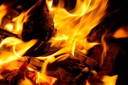 Flame and fire wood burning in a fire