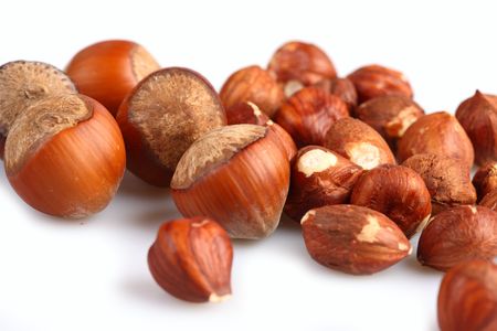 Wood nuts (filbert) cleared and in shell. Close up.の写真素材