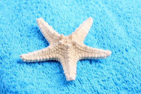 curtailed terry towels and starfish. Care of body.の写真素材