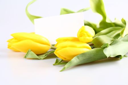 Tulips and the cardの写真素材