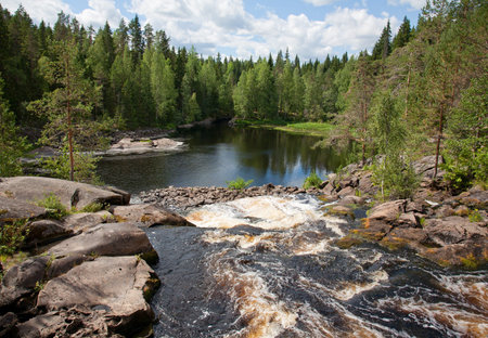 Beautiful landscape with wood and a falls.
