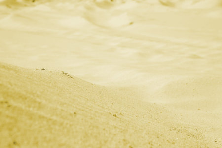 Background from sand. Desert. A beach