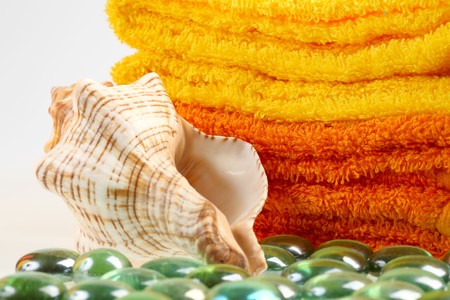 Two color terry towels and sea cockleshell.の写真素材