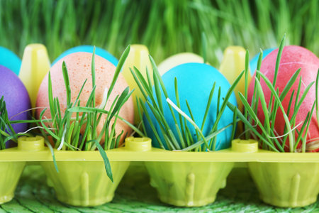 Multi-colored eggs in a grass.の写真素材