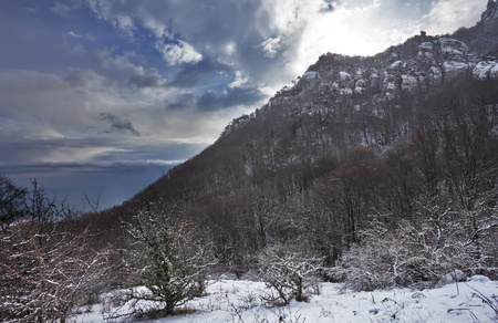 Kind on mountain Ah-petri in cloudy weatherの写真素材