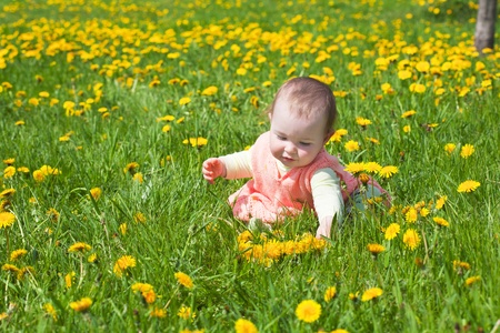 little girl in a pink dress plays to a glade with dandelionsの写真素材