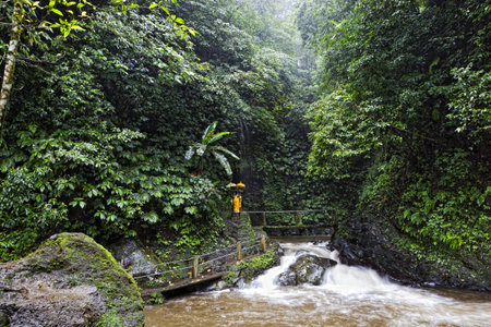 Gitgit Waterfall is a beautiful waterfall located in plateau area and it is one of places of...
