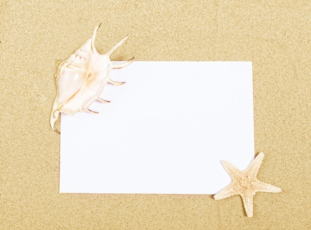 Clean sheet of paper, starfish and sink on sandの写真素材