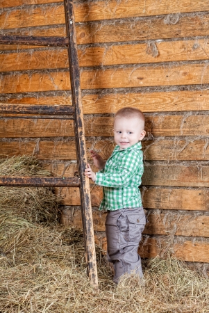 little boy to stand near a ladder on a mowの写真素材