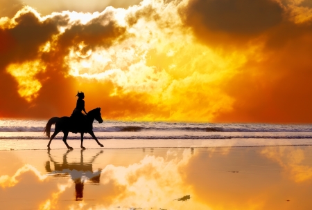 Silhouette of the girl skipping on a horse on an ocean coast on a sunsetの写真素材