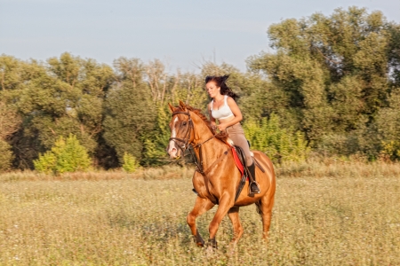 Beautiful girl riding a horse in countryside. の写真素材