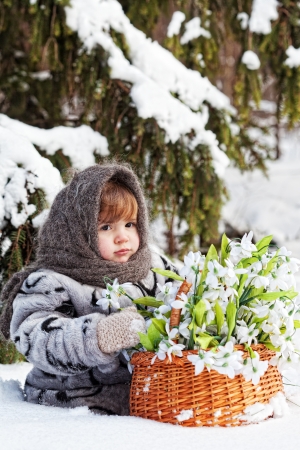 little girl in a winter wood with the big basket of snowdrops の写真素材