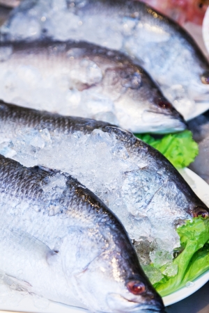 Fresh-caught sea fish on a counter in the fish marketの写真素材