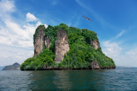 white-headed sea eagle flies over the island in the Andomansky seaの写真素材