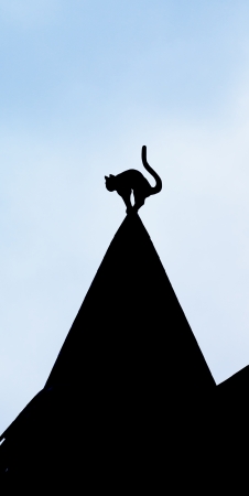 Riga.  Black Cat House. の写真素材