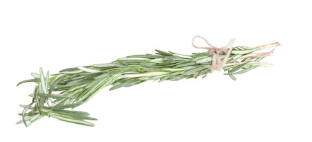Rosemary branch on a white backgroundの写真素材