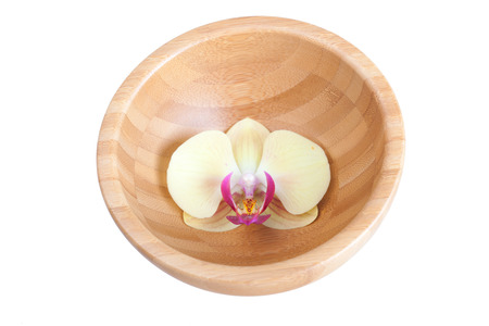 Orchid flower in a bamboo bowl, it is isolatedの写真素材