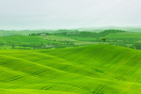 Green hills of Tuscany, Italyの写真素材