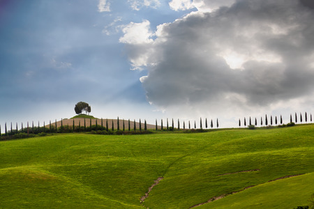 Big cloud over the cypress avenue, Tuscany, Italyの写真素材
