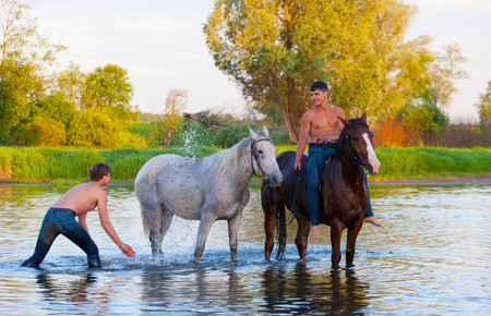 Young men bathe horses in the river in the early summer morningの写真素材