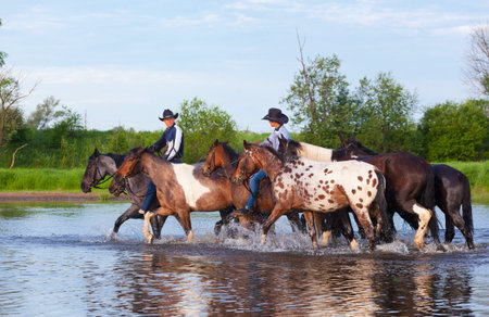 Two cowboys on horses ford the riverの写真素材