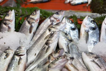 Fresh-caught sea fish on a counter in the fish market, Istanbulの写真素材
