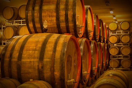 Cellar with barrels for storage of wine, Italy