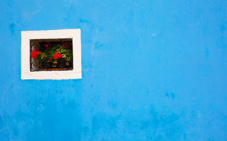 Blue wall with a small window, which is a pot of red geraniumsの写真素材